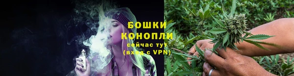 mdpv Горно-Алтайск