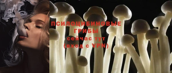 тгк Горняк