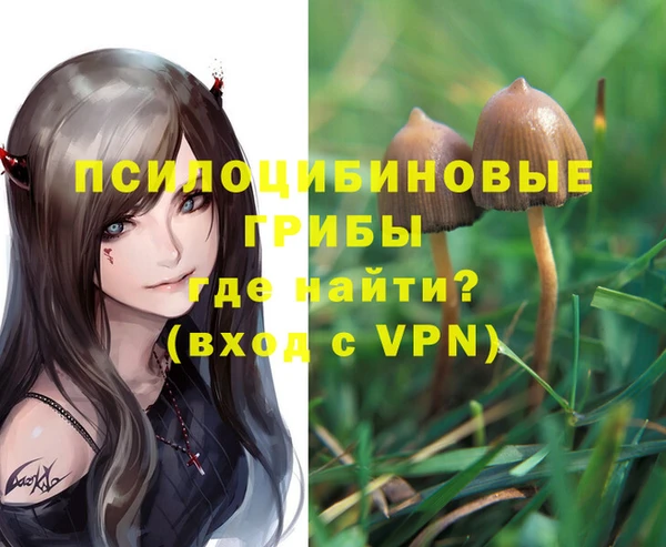 тгк Горняк
