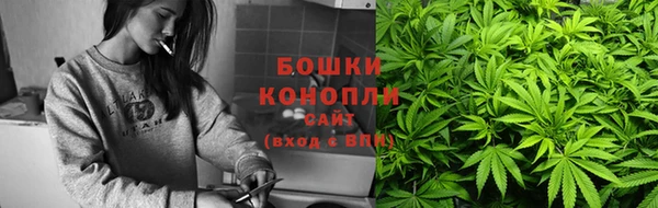 мяу мяу мука Вязьма