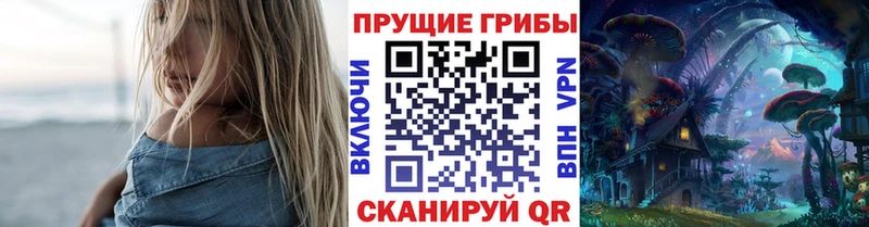 где продают наркотики  Задонск  Псилоцибиновые грибы прущие грибы 